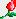 Send Gift & Flowers